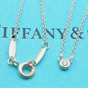 Tiffany & Co  Diamonds by the yard. Silver Necklace